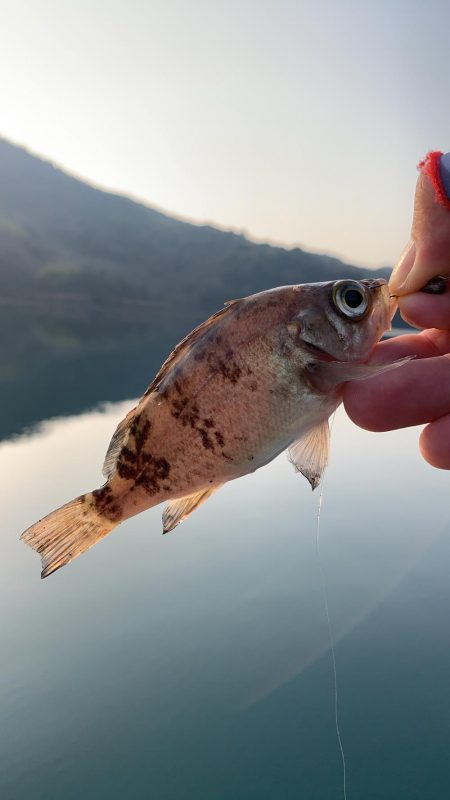 このエリアは私が投稿します☆