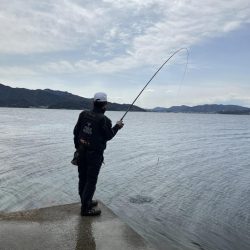 諦めなければドラマがある