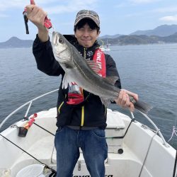 ライト落とし込み