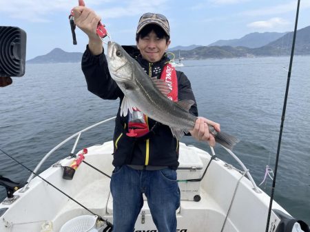 ライト落とし込み