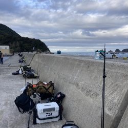 ショアジギング、のませ