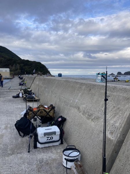 ショアジギング、のませ