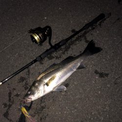 今日はモアザンでした。