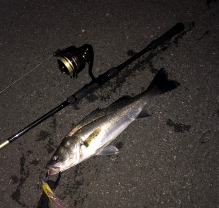 今日はモアザンでした。