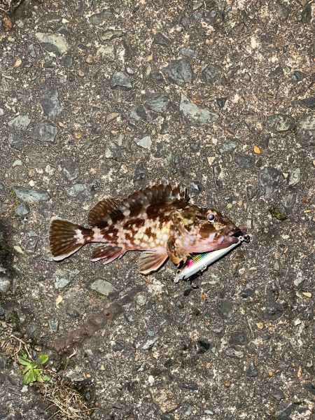 ダイソーシンペン縛り