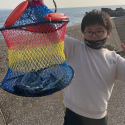 水がクリアすぎで なんとか3匹