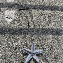 花見カレイ前線まだまだ2