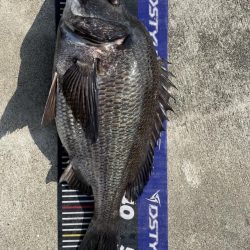 イチノ兄弟、釣果!