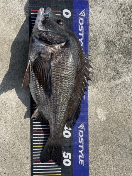 イチノ兄弟、釣果!