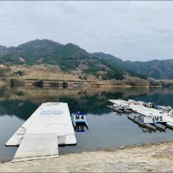 【竜門ダム(班蛇口湖)】ワカサギ釣り終盤 サイトでも釣れ79匹手中