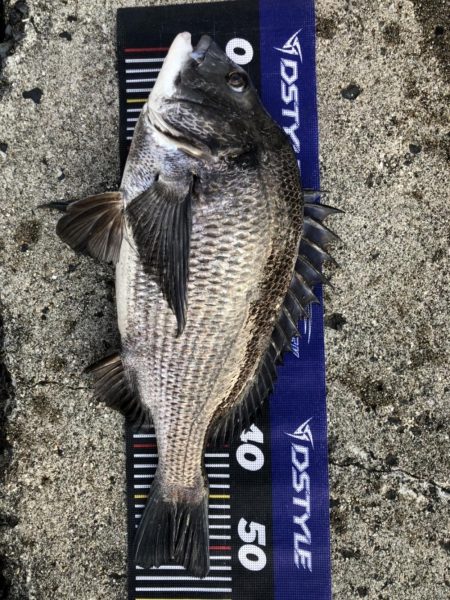 イチノ兄弟、釣果！