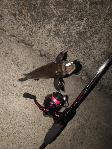 メバリング、２夜連続！