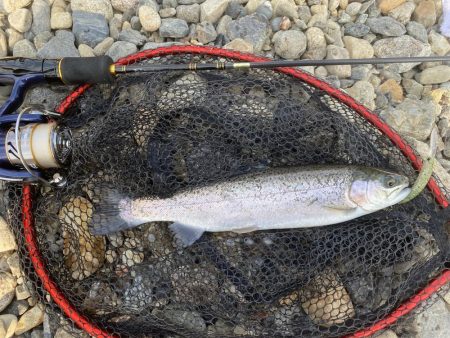 一年ぶりのエリアトラウト!果たして釣れるのか⁈