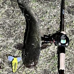 コイツは裏切らない！！