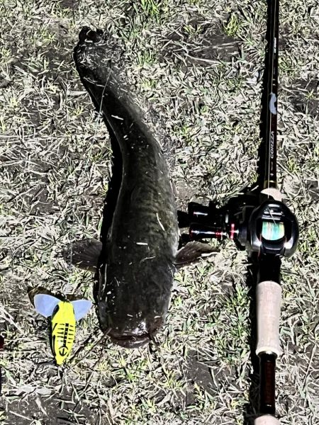 コイツは裏切らない！！