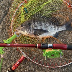 モーニングサービス