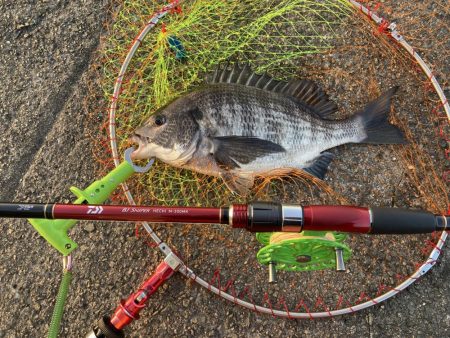 モーニングサービス