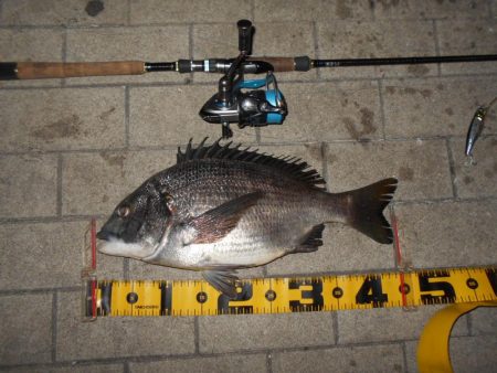 ちょこっとテクトロ