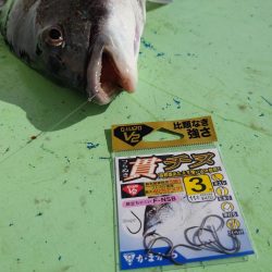 牡蠣筏からのフカセ釣り