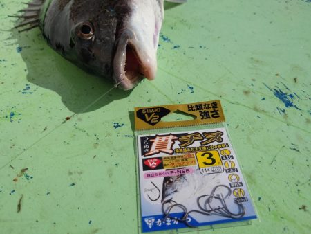 牡蠣筏からのフカセ釣り