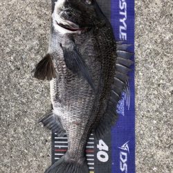 イチノ兄弟、釣果!