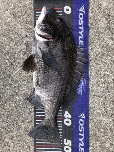 イチノ兄弟、釣果!