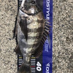 イチノ兄弟、釣果！