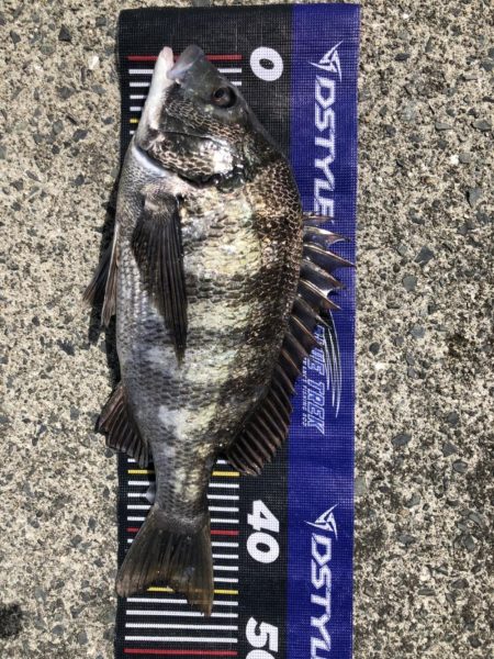 イチノ兄弟、釣果！