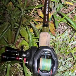 会社の近くの川で