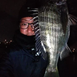 夜行練習してきました