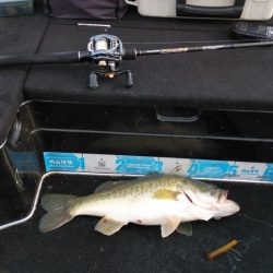 北山田連日の50オーバー