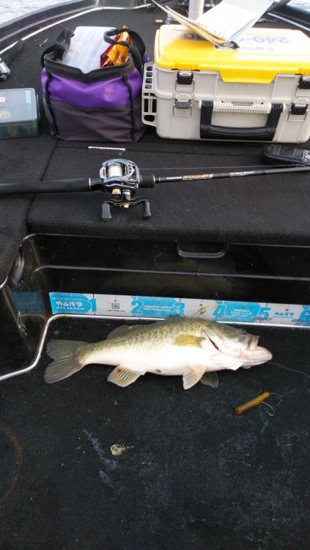 北山田連日の50オーバー