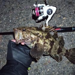 2022/03/24 南港ライトゲーム釣行 ～尺タケノコ～