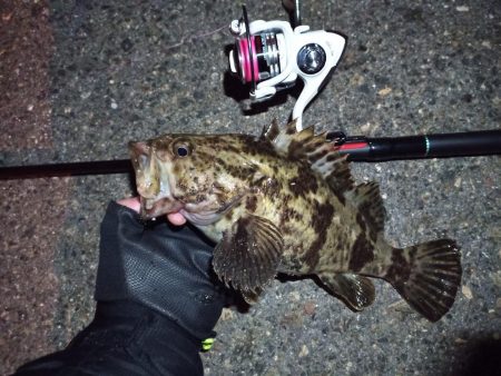 2022/03/24 南港ライトゲーム釣行 ～尺タケノコ～