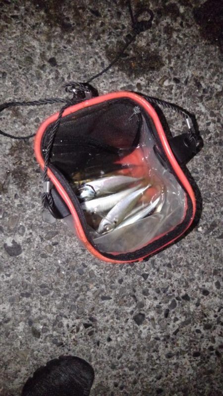 アジ狙い！　幸先は良かったのですが。。。　