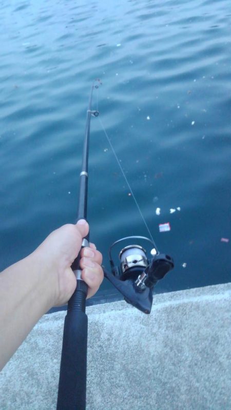 アジ！！数はともかくサイズが割と良かったかと＾＾b