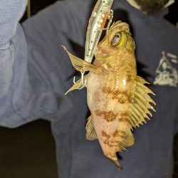 ほんの少しだけ