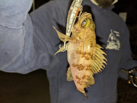 ほんの少しだけ