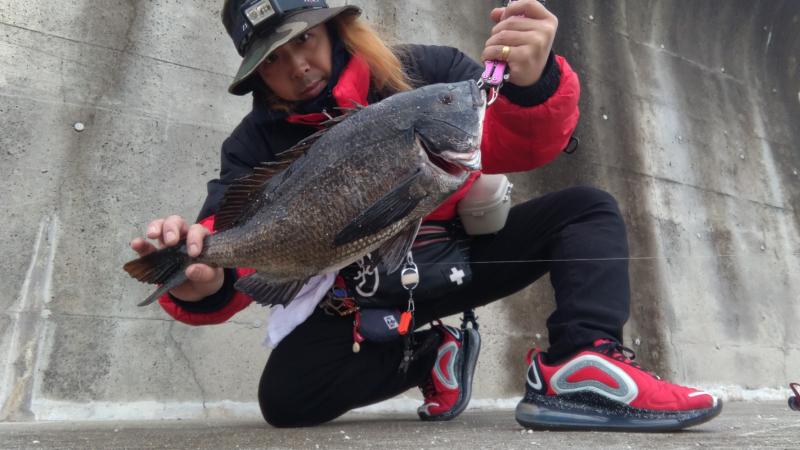 今季初の年なしつれた！