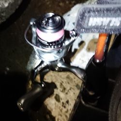 チャンスは一回!