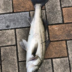 寒の戻りのなか活性高い