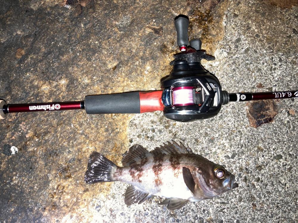 【メバリング】プチ•フロート