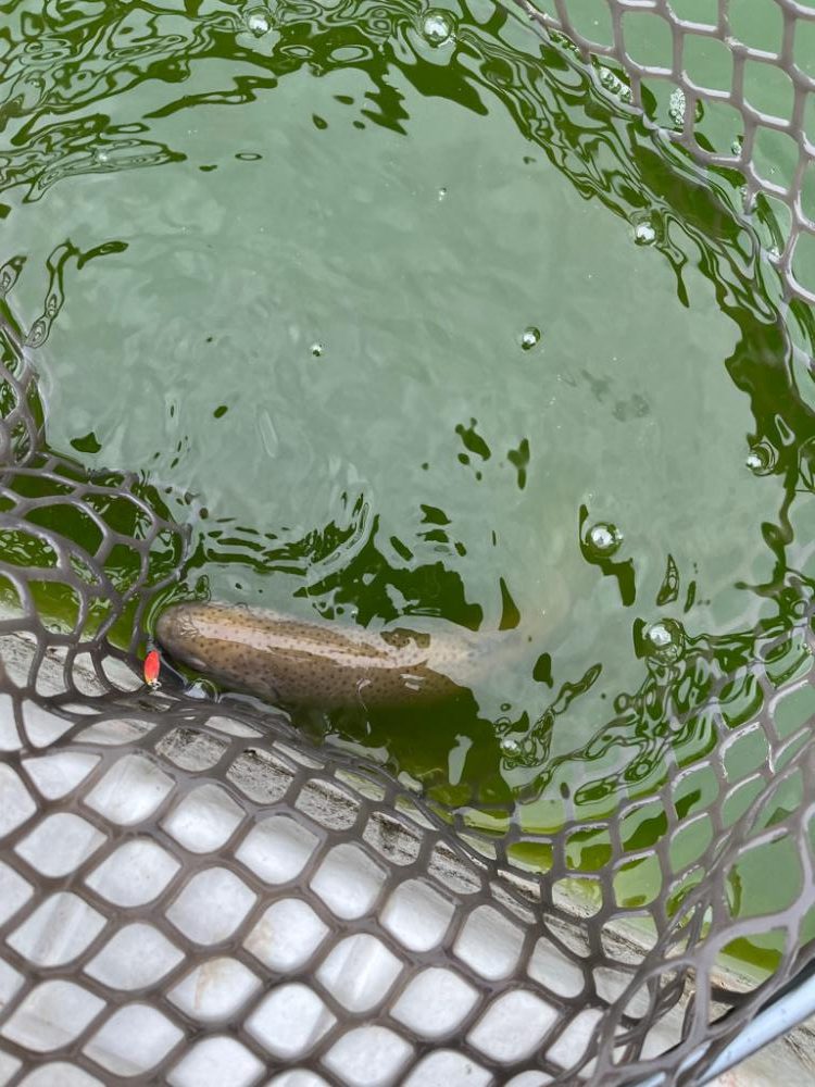 服部フィッシングパーク