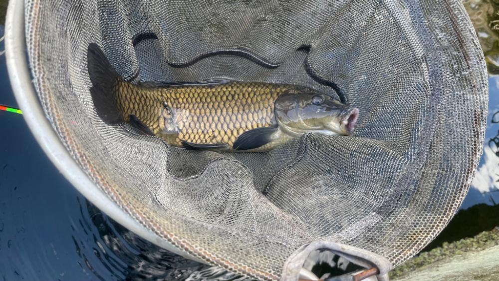 常盤釣り堀センター