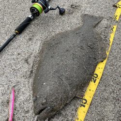 座布団もう一枚？！