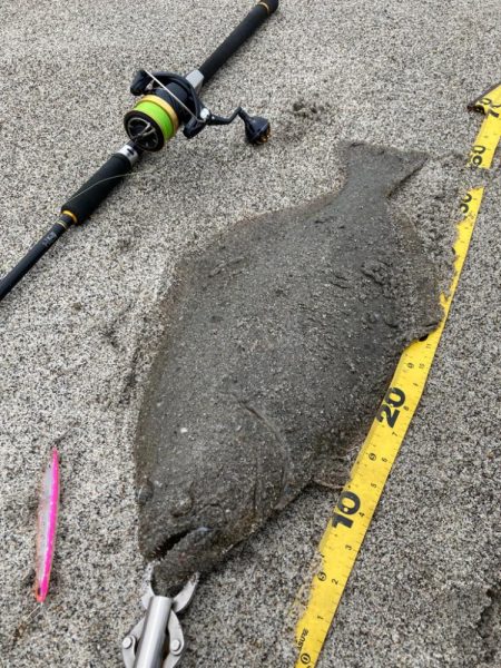 座布団もう一枚？！