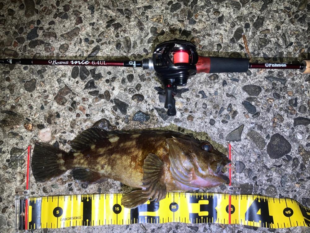 【メバリング】祝•尺越え！？