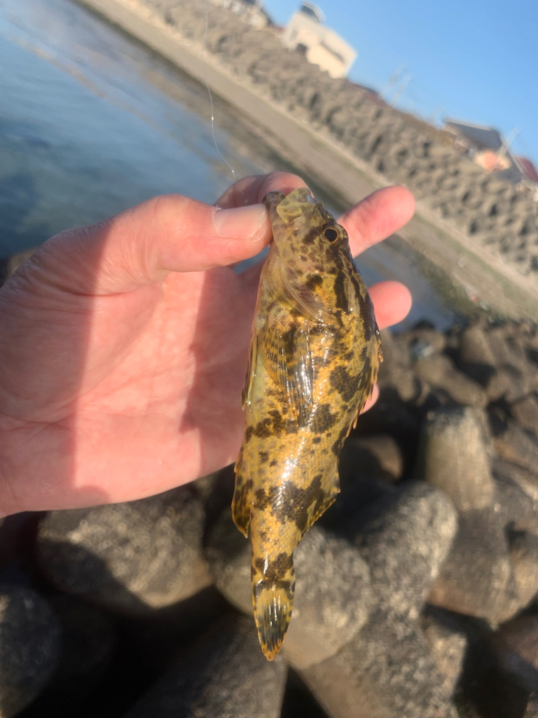 100円ワーム使ってみた