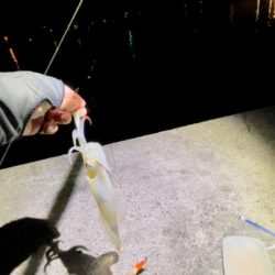 ツンツン、ゴンッ