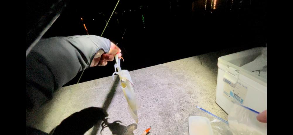 ツンツン、ゴンッ